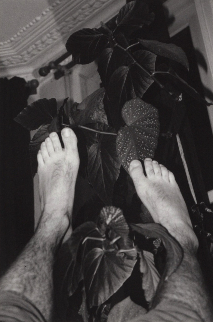 legs and foliage black and white analogue film photograph artwork